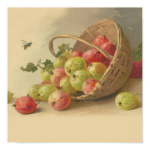 Gooseberries de época