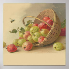 Póster Gooseberries de época