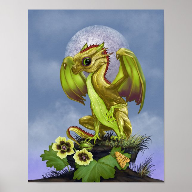 Póster Gooseberry Dragon 11x14 (4x6 y superior) (Frente)
