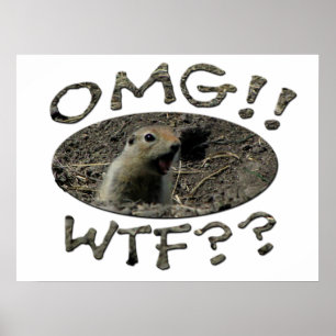 Póster Gopher de OMG WTF