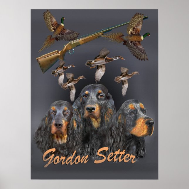 Póster Gordon Setter  trio  hunts (Frente)