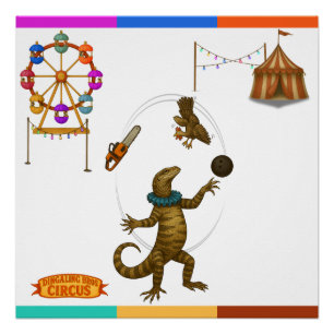 Póster Gordy, lanzador de goannas