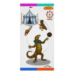 Póster Gordy, malabarista de lagarto