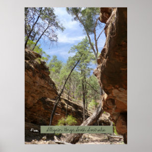 Póster Gorge del lagarto, Australia del Sur