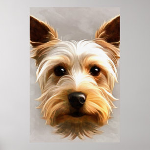 Póster Gorgeous Cute Yorkshire Terrier Puppy Flotando