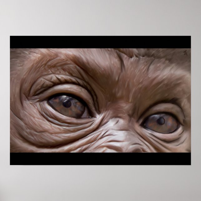 Póster gorila (Frente)