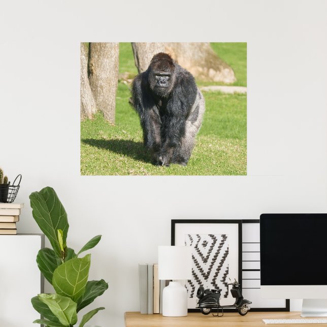 Póster Gorila de Espalda Plateada – Un Momento de Poder (Oficina en casa)