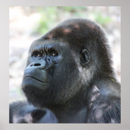 Póster Gorila dorada de plata