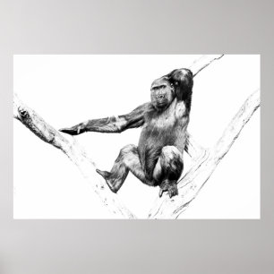 Póster Gorila en las sombras