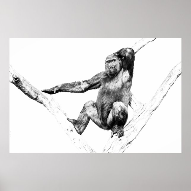 Póster Gorila en las sombras (Frente)