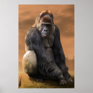 Póster Gorila, plata de vuelta al atardecer
