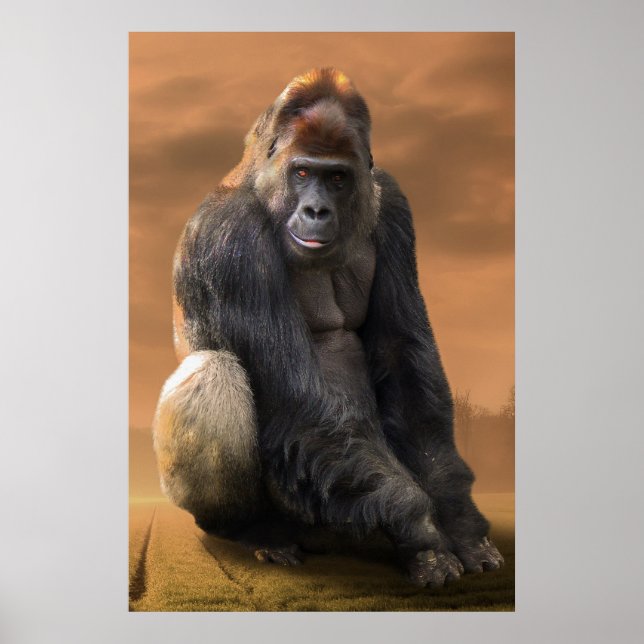 Póster Gorila, plata de vuelta al atardecer (Frente)