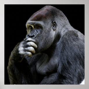 Póster Gorilla
