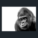 Póster Gorilla blanca negra<br><div class="desc">Computadora digital Arte animal - Arte pop universitario - Imágenes de computadores animales salvajes</div>