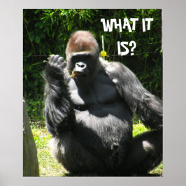 Póster GORILLA GREETING poster