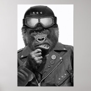 Póster Gorilla Guy