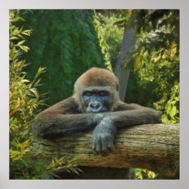 PÓSTER GORILLA "SAVE NUESTRAS ESPECIES"