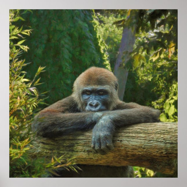 PÓSTER GORILLA "SAVE NUESTRAS ESPECIES" (Frente)