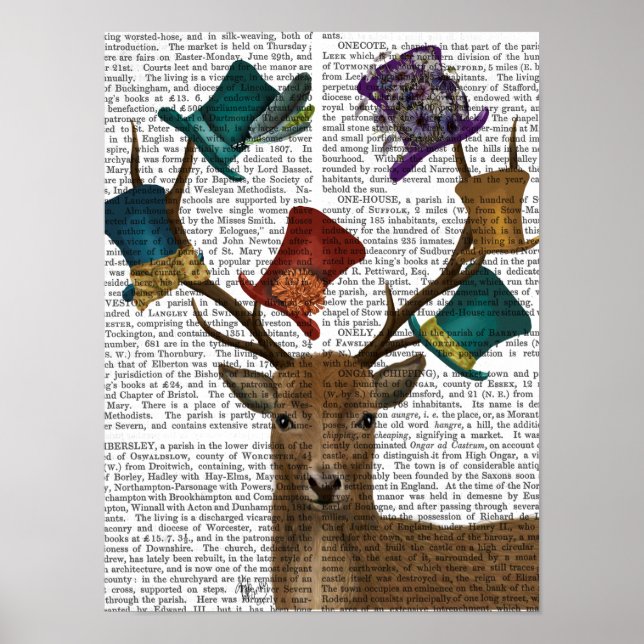 Póster Gorra Collector Deer (Frente)