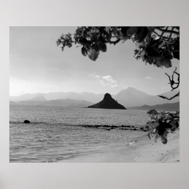 Póster Gorra de Chinamans _bw (Frente)