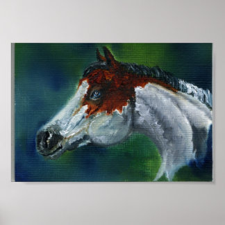 Póster Gorra de Medicina Pinto Horse
