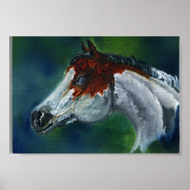 Póster Gorra de Medicina Pinto Horse (Frente)