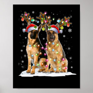 Póster Gorra de renos Santa Navidades de Malinois de Bélg