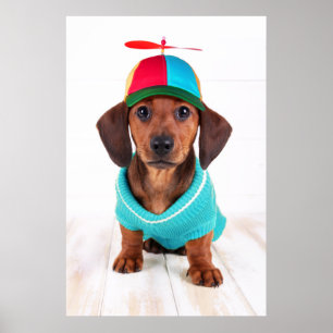 Póster Gorra del propulsor del perrito del Dachshund que