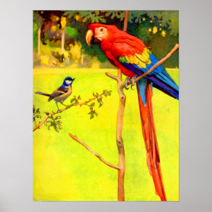 Póster gorrión y loro