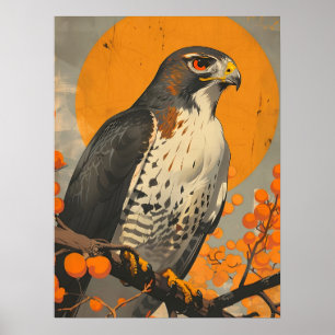 Póster Goshawk americano