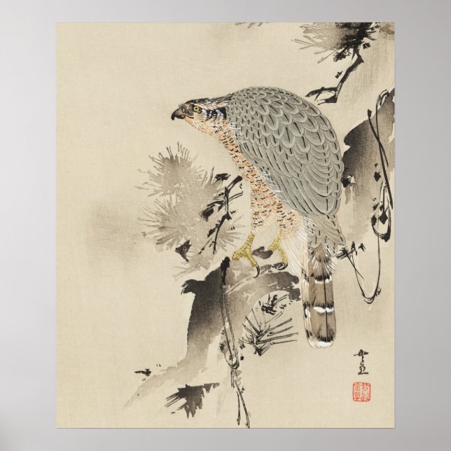 Póster Goshawk asiático - 1890 (Frente)