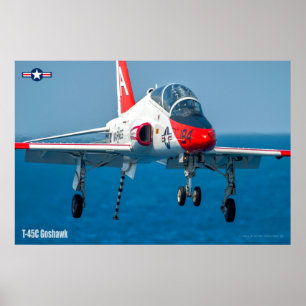 PÓSTER GOSHAWK T-45C