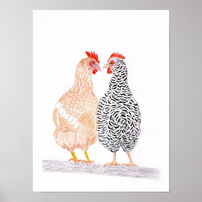 Póster Gossiping Hens Poster (Frente)