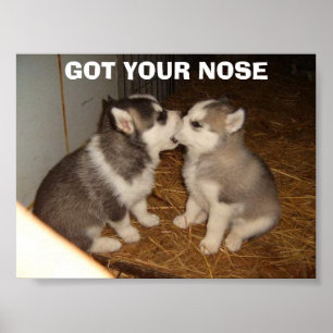 PÓSTER GOT YOUR NOSE