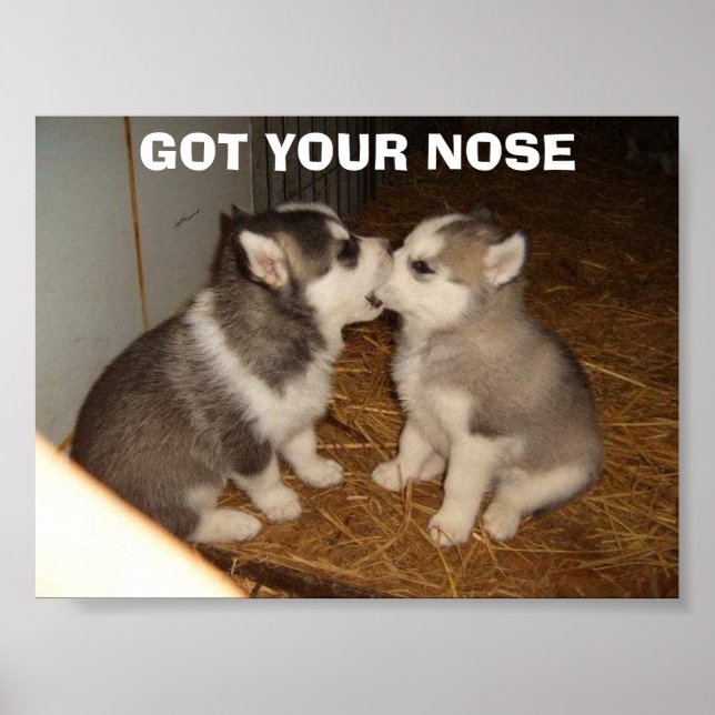 PÓSTER GOT YOUR NOSE (Frente)