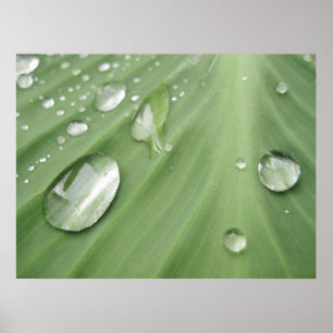 Póster Gota a gota