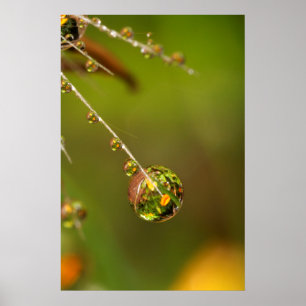 Póster Gota de agua en primer plano