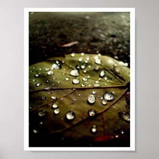 Póster Gota de brillo