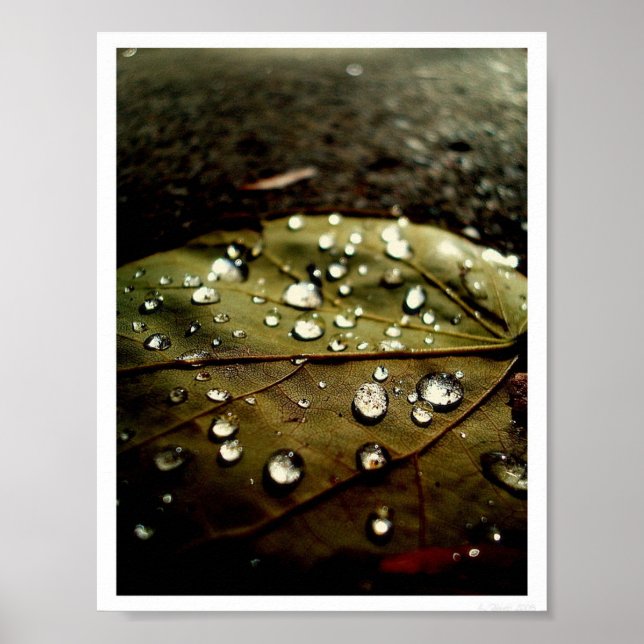 Póster Gota de brillo (Frente)