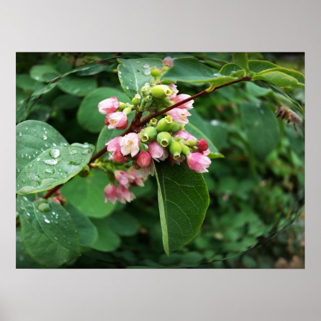 Póster gotas de lluvia (Frente)