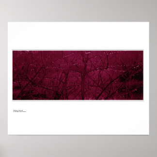 Póster Gotas de lluvia en Dogwood (Cornus sanguinea)