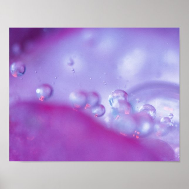 Póster Gotas de rocío en pétalo de flor abstracto. (Frente)