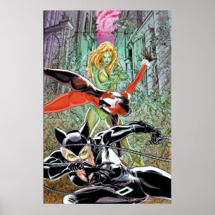 Póster Gotham City Sirens Cv11