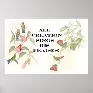 Póster Goulds Hummingbirds Poster