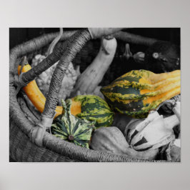 Póster Gourdes De Fantasía En Color Parcial De La Cesta D