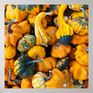 Póster Gourds