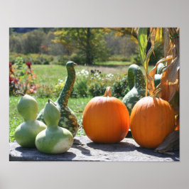 Póster Gourds And Pumpkins Farm Stand 2 Fall