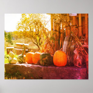 Póster Gourds and Pumpkins Farm Stand Molestias Art
