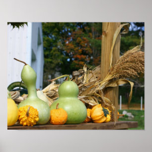 Póster Gourds Corn Stalks Farm Stand Otoño