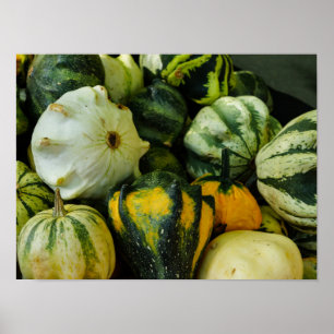 Póster Gourds Galore
